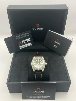 Tudor Black Bay 58 (79010SG)