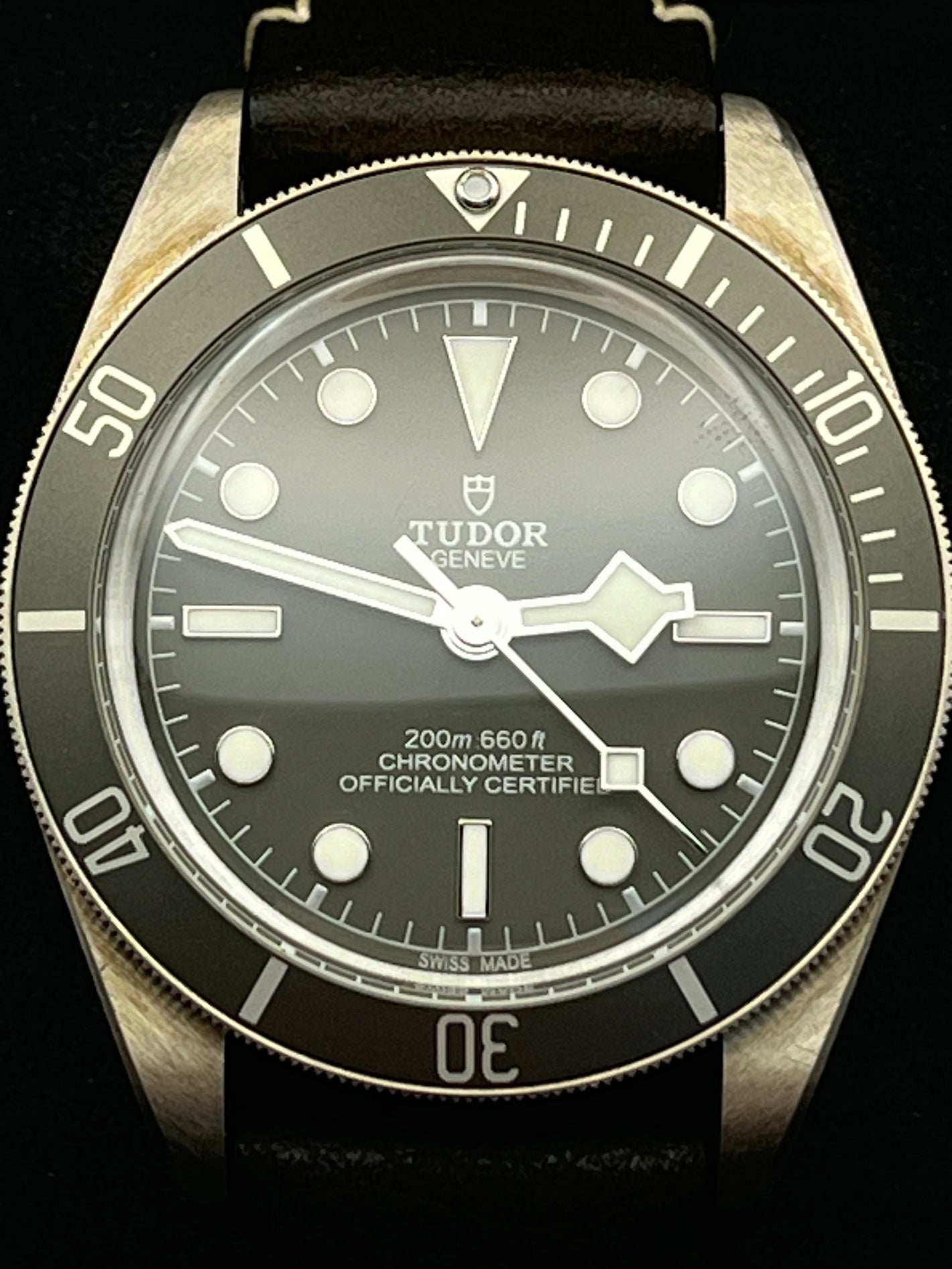 Tudor Black Bay 58 (79010SG)