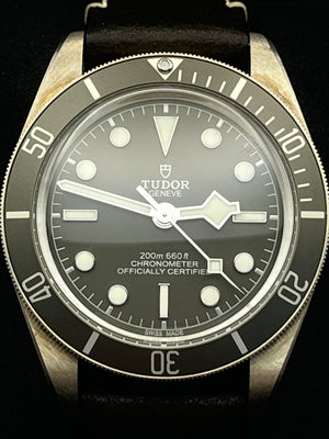 Tudor Black Bay 58 (79010SG)