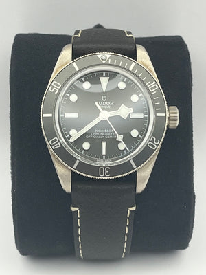 Tudor Black Bay 58 (79010SG)